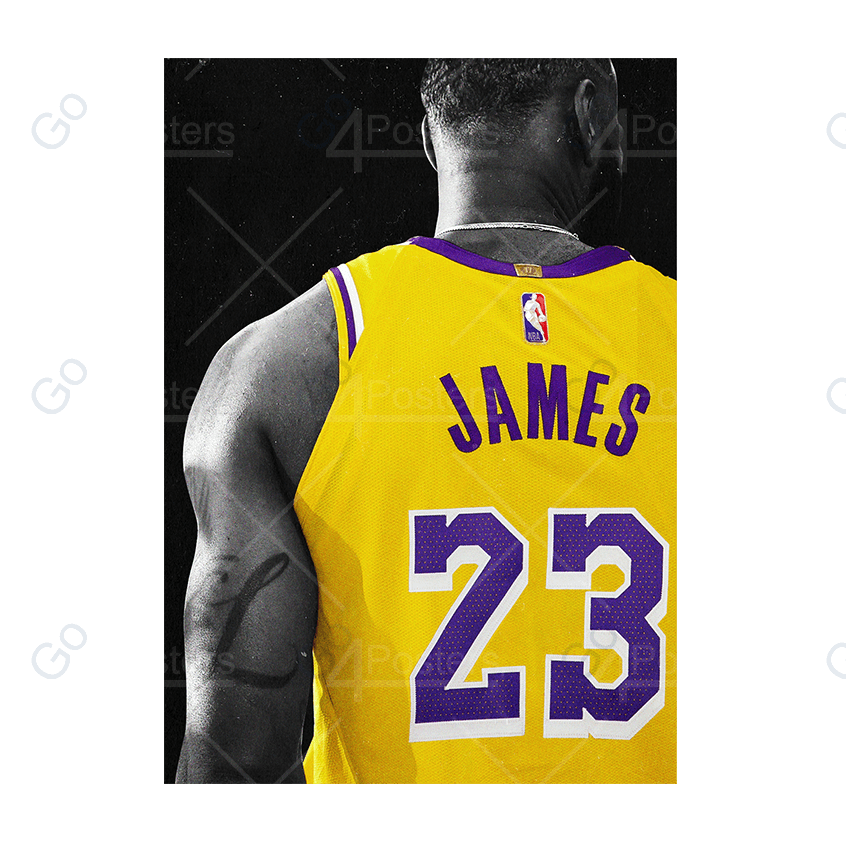 LeBron James 23 Lakers Poster - Go4Posters