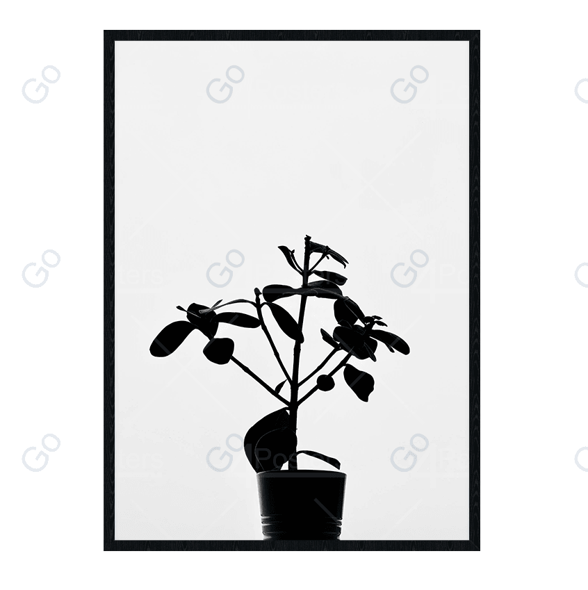 Plant In Silhouette - Go4Posters