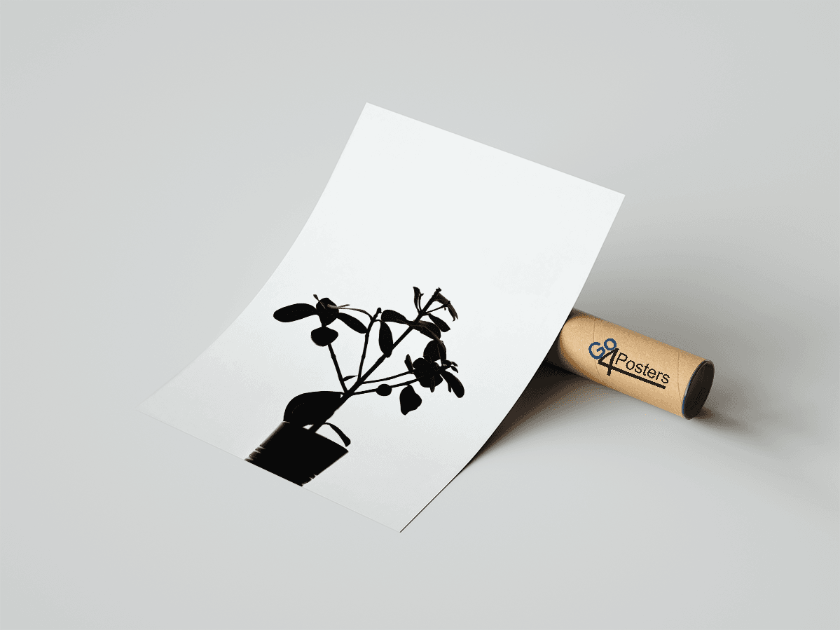 Plant In Silhouette - Go4Posters
