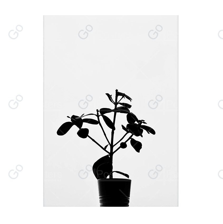 Plant In Silhouette - Go4Posters