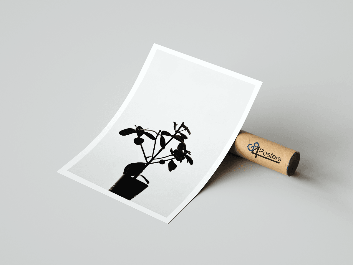 Plant In Silhouette - Go4Posters