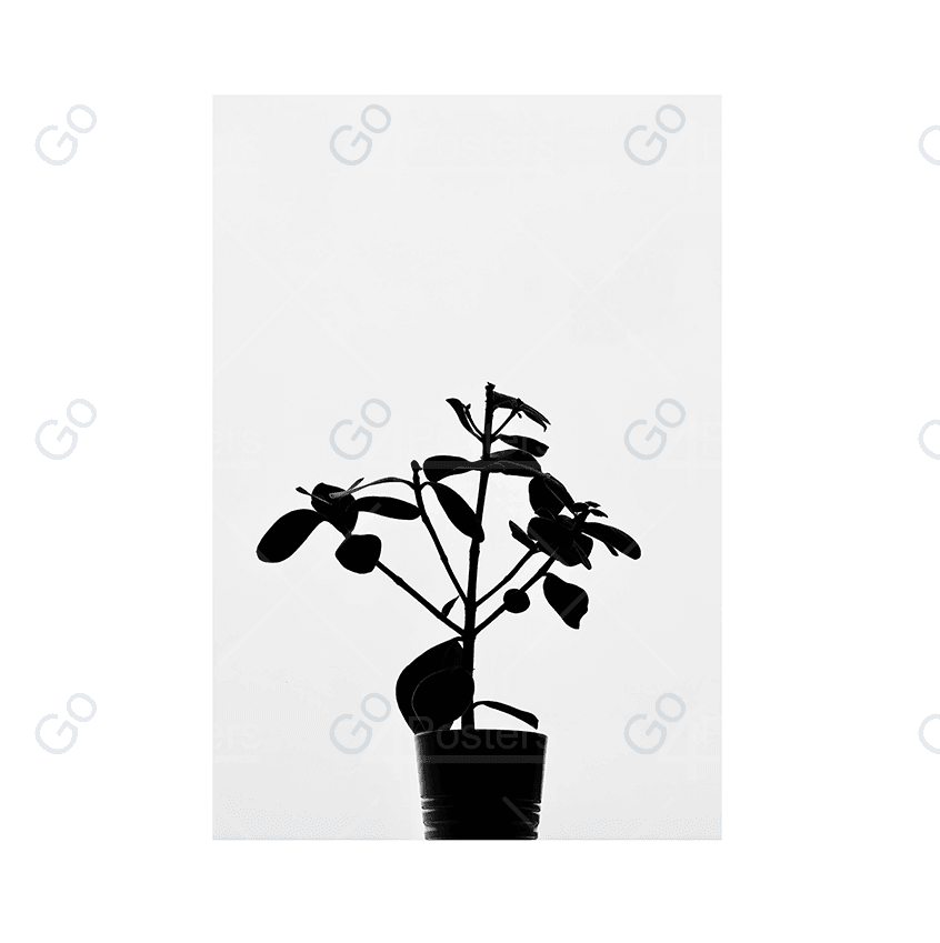 Plant In Silhouette - Go4Posters