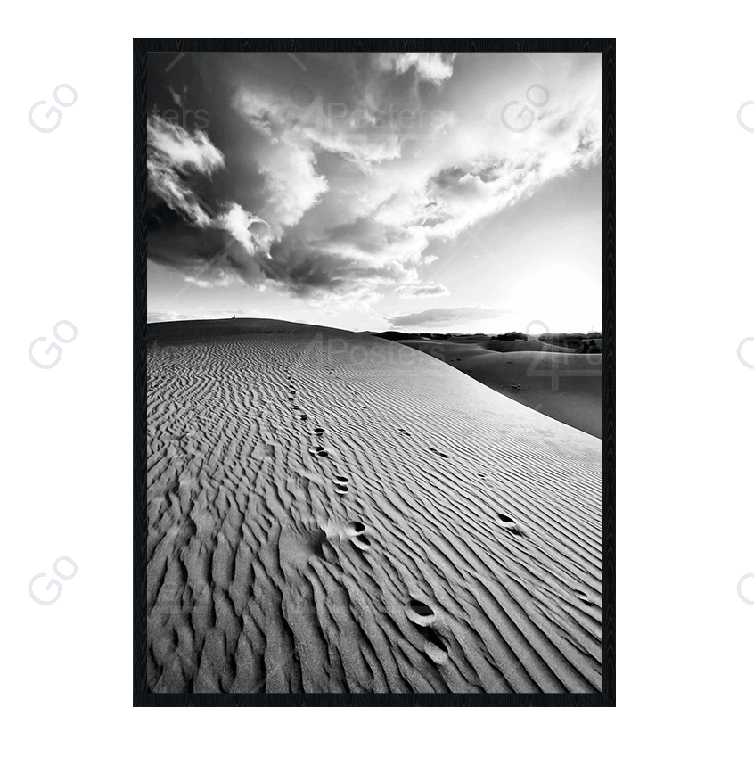 Sand Dunes - Go4Posters