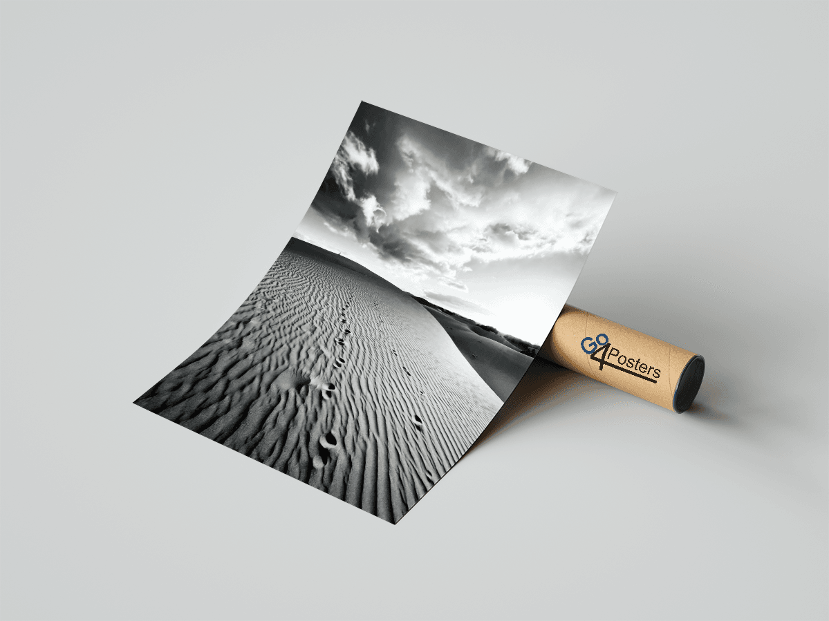 Sand Dunes - Go4Posters