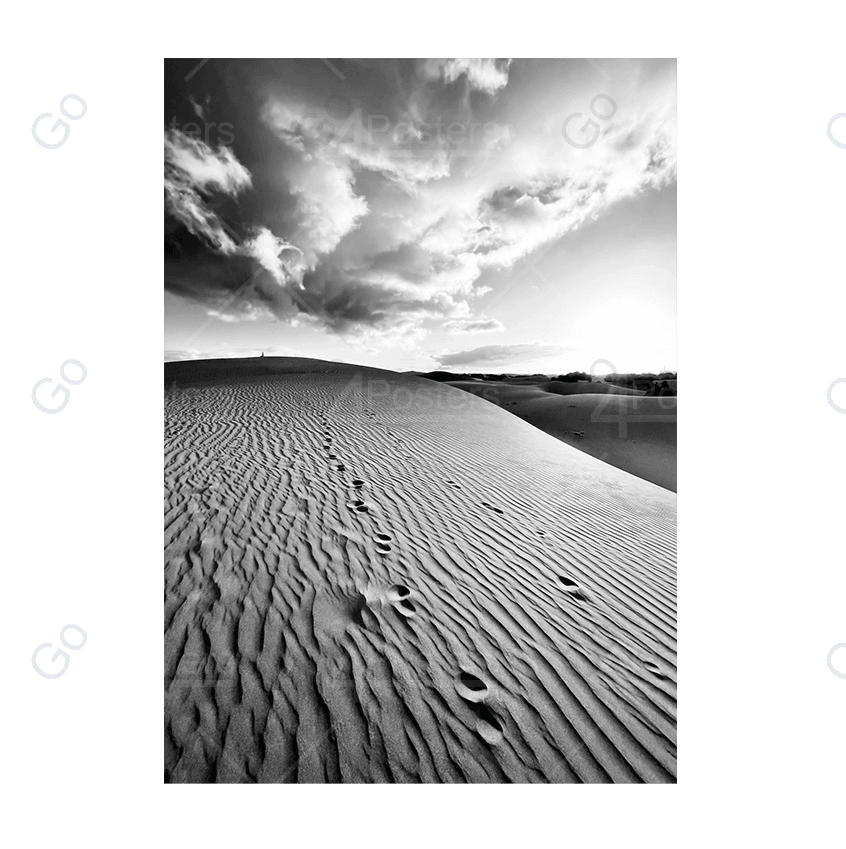 Sand Dunes - Go4Posters