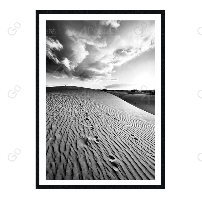 Sand Dunes - Go4Posters