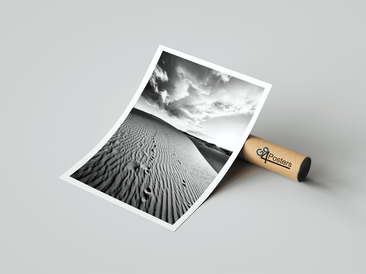 Sand Dunes - Go4Posters