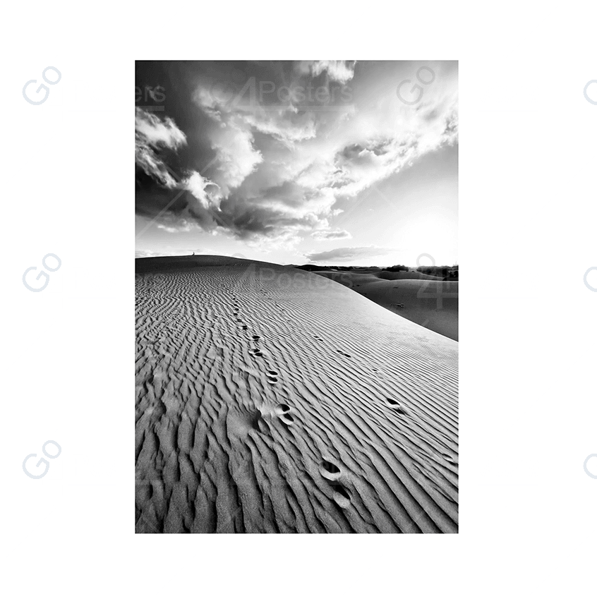Sand Dunes - Go4Posters