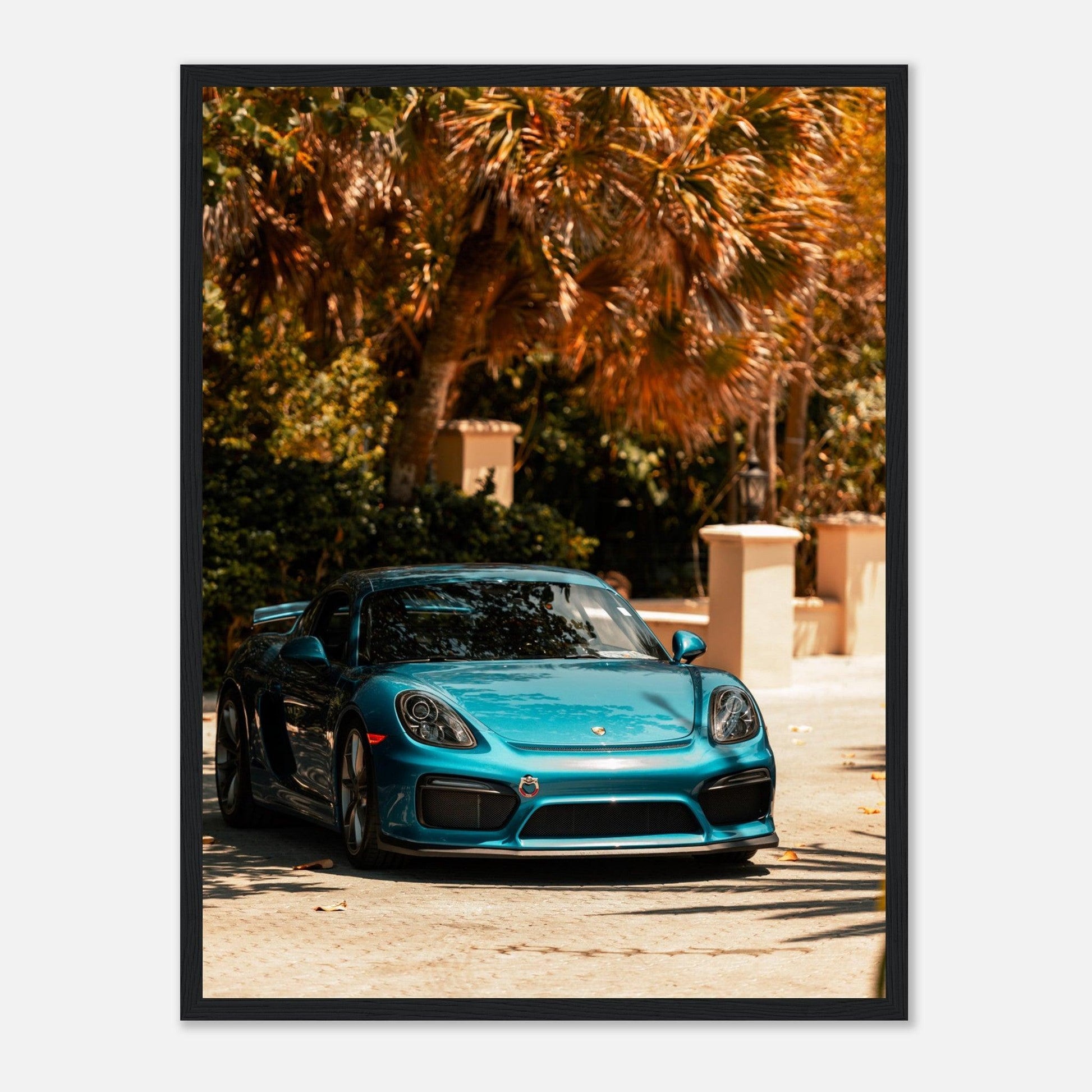 Porsche 718 Cayman - Go4Posters