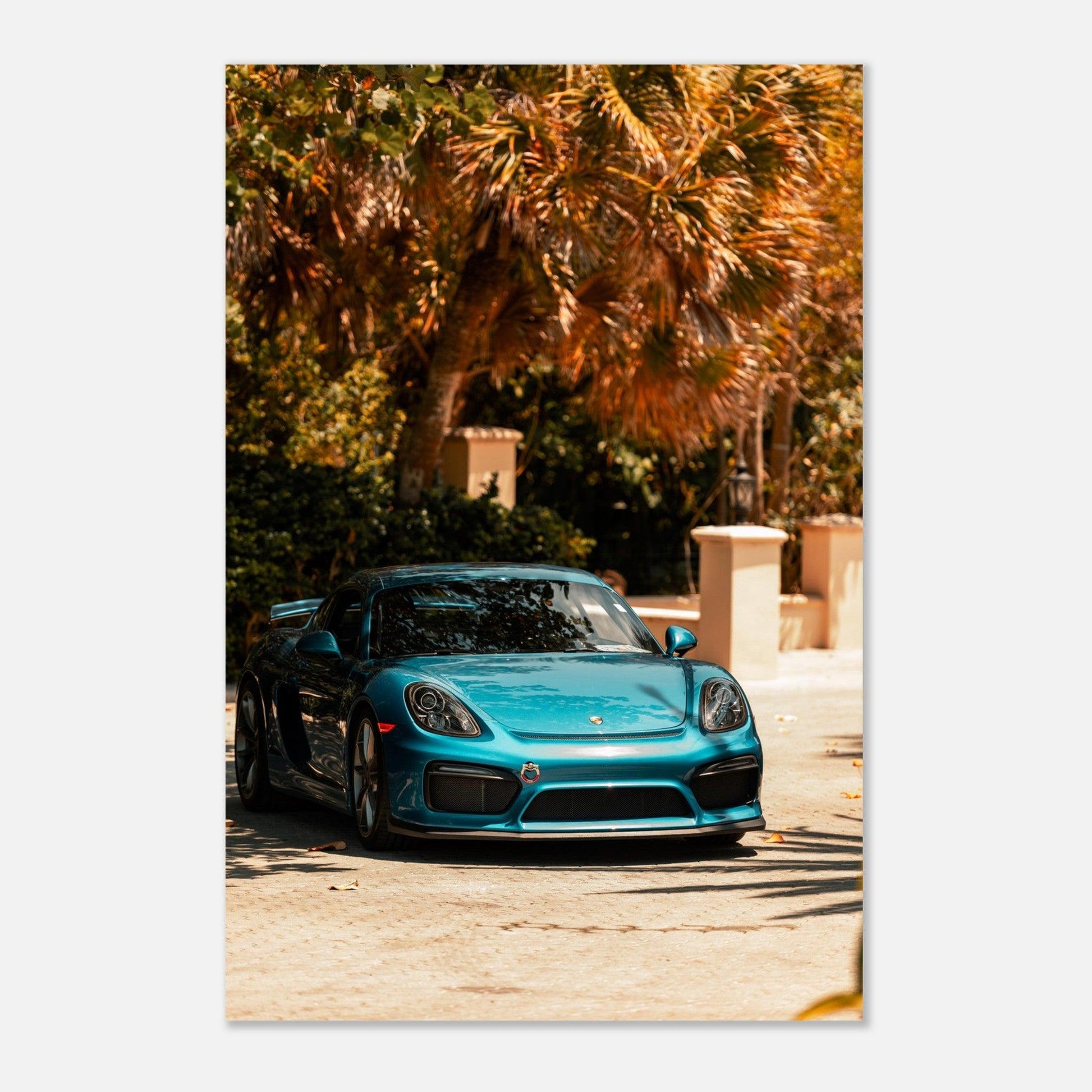 Porsche 718 Cayman - Go4Posters