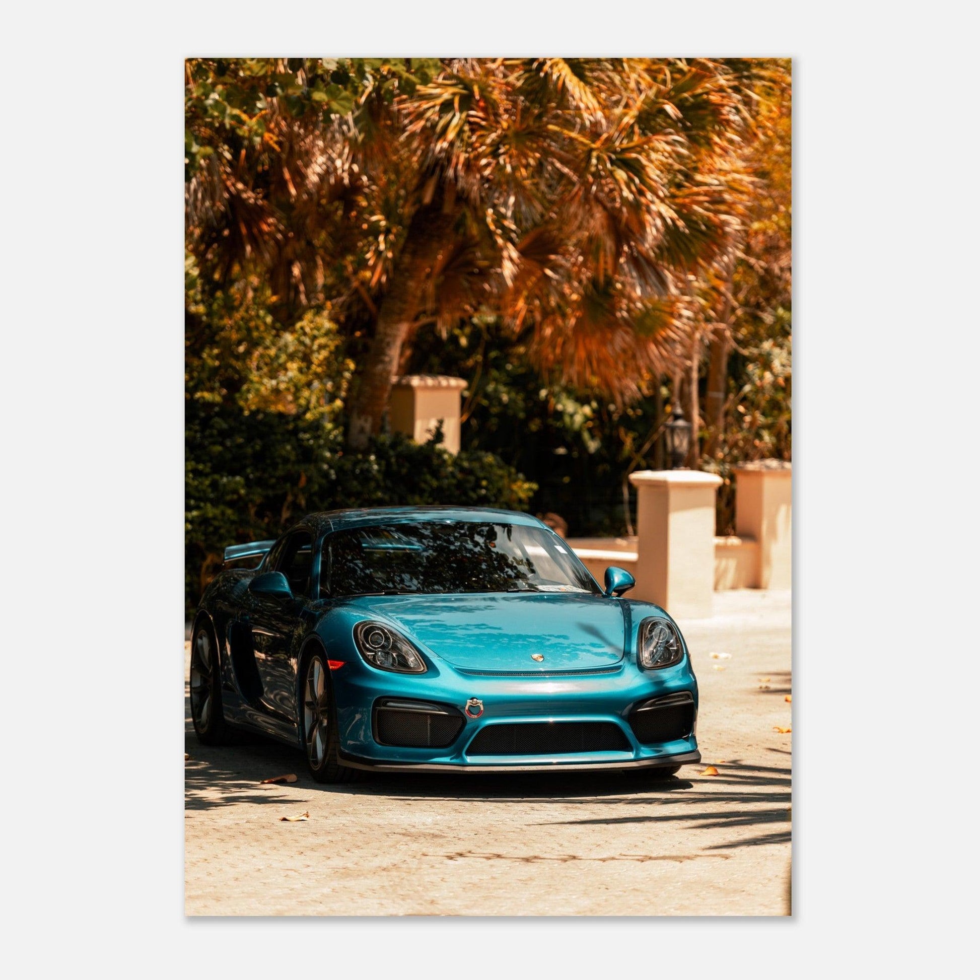 Porsche 718 Cayman - Go4Posters