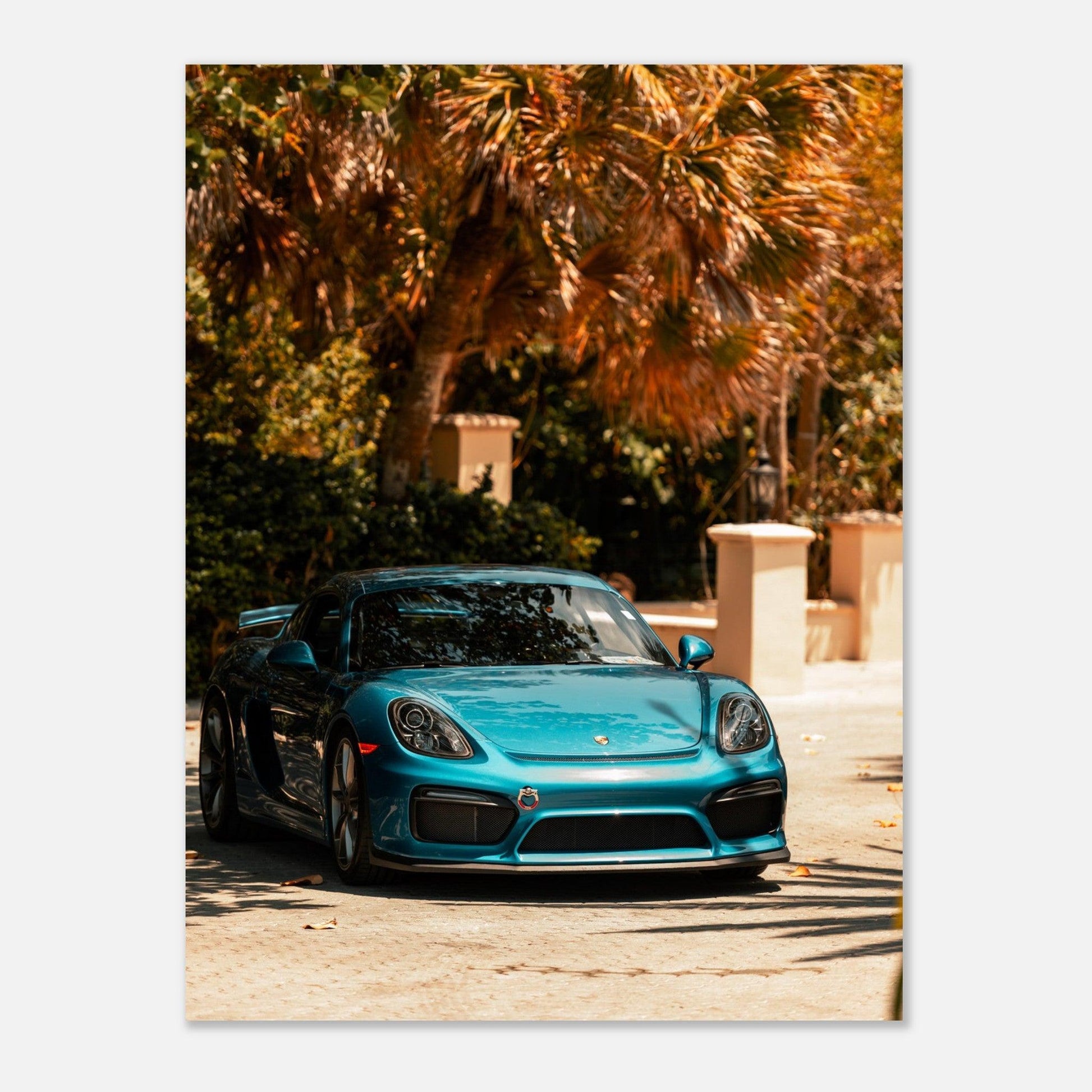 Porsche 718 Cayman - Go4Posters