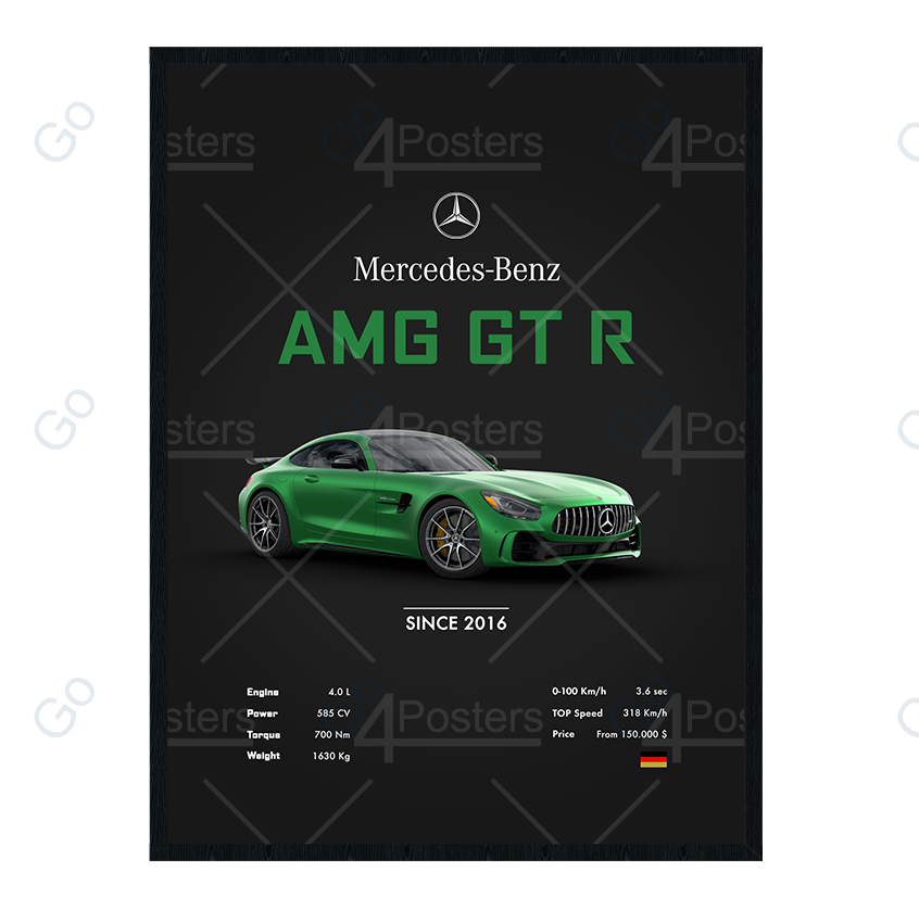 Mercedes Benz AMG GT R