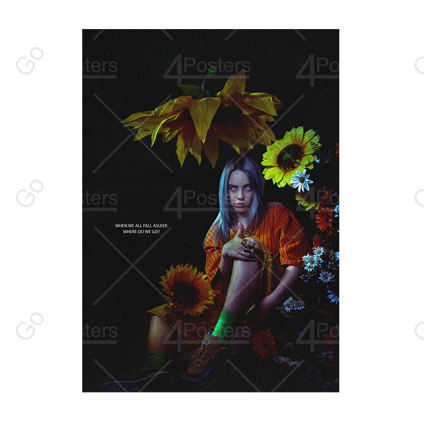 Billie Eilish - When We All Fall Asleep, Where Do We Go Poster