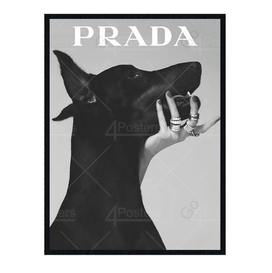 Prada Dog