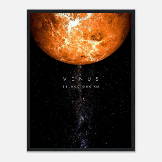 VENUS