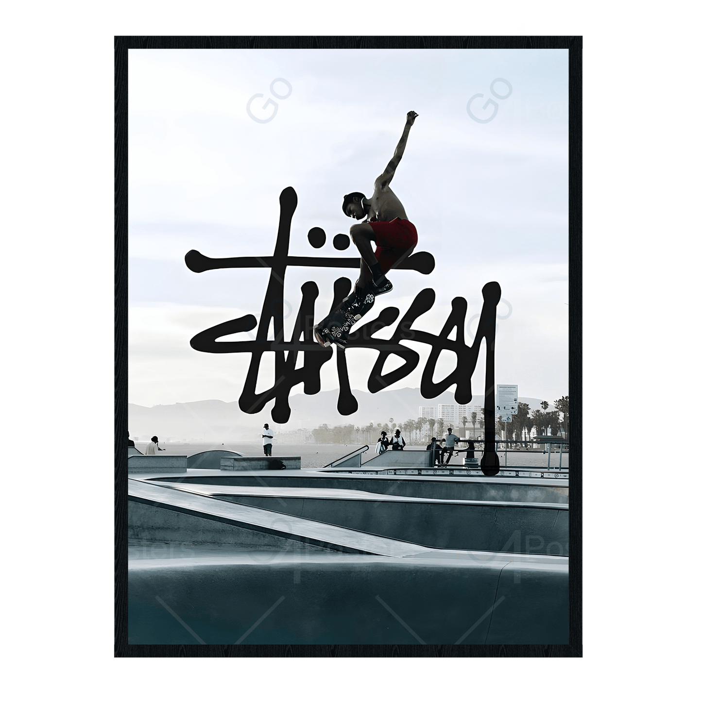 Stussy Skate Fashion