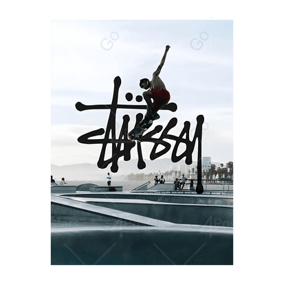 Stussy Skate Fashion