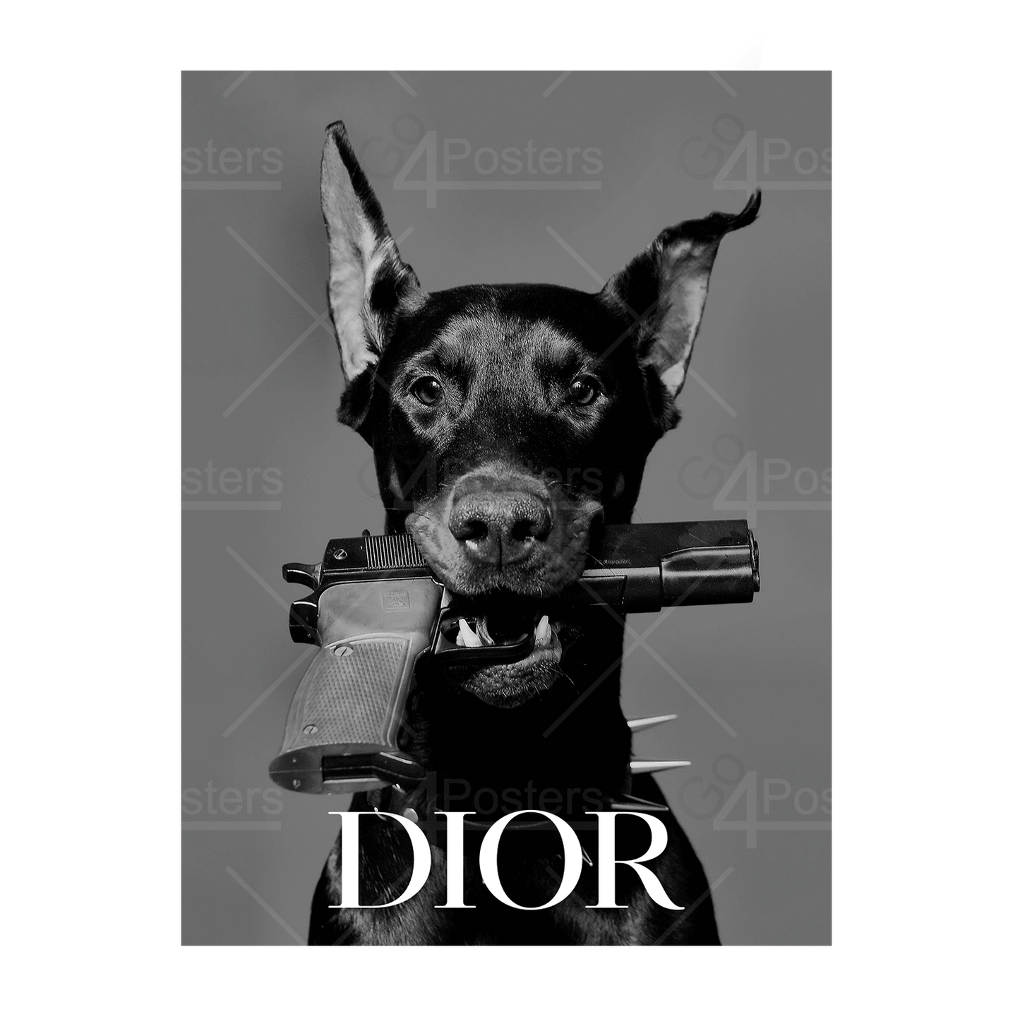 Gangster Luxuty Dog - DIOR